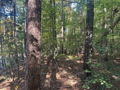 Home Escape!! Seeking an excellent location to build your new on Tanglewood Shores Golf Club in Virginia - for sale on GolfHomes.com, golf home, golf lot