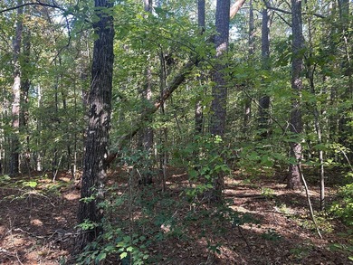 Home Escape!! Seeking an excellent location to build your new on Tanglewood Shores Golf Club in Virginia - for sale on GolfHomes.com, golf home, golf lot