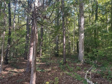 Home Escape!! Seeking an excellent location to build your new on Tanglewood Shores Golf Club in Virginia - for sale on GolfHomes.com, golf home, golf lot