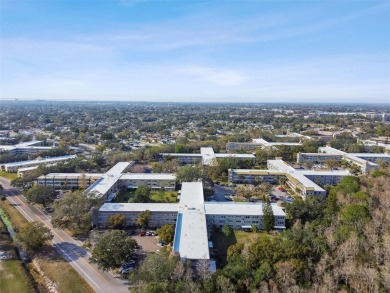 Welcome to Your Perfect Condo Home!  This beautifully furnished on On Top Of The World Golf Course in Florida - for sale on GolfHomes.com, golf home, golf lot