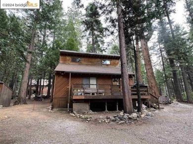 Private Snowshoe Springs Cabin on a nice size 18,295 lot. In on Sequoia Woods Country Club in California - for sale on GolfHomes.com, golf home, golf lot