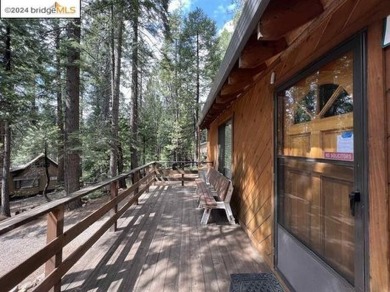 Private Snowshoe Springs Cabin on a nice size 18,295 lot. In on Sequoia Woods Country Club in California - for sale on GolfHomes.com, golf home, golf lot