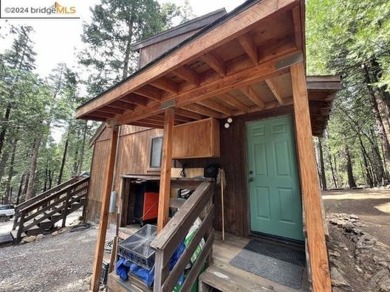 Private Snowshoe Springs Cabin on a nice size 18,295 lot. In on Sequoia Woods Country Club in California - for sale on GolfHomes.com, golf home, golf lot