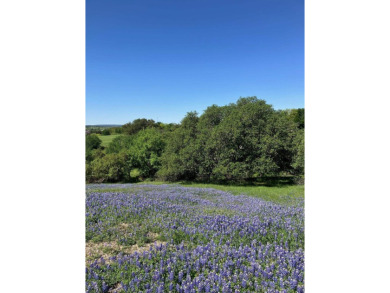 This lot sits nestled among several golf course and golf view on Ram Rock Golf Course in Texas - for sale on GolfHomes.com, golf home, golf lot