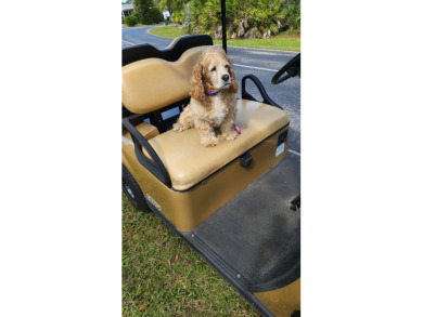 Wow....this home has everything. 5 Miles from Hobe Sound Beach on Champions Club at Summerfield in Florida - for sale on GolfHomes.com, golf home, golf lot