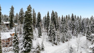 Imagine waking up to crisp mountain air, surrounded by majestic on McCall Municipal Golf Course in Idaho - for sale on GolfHomes.com, golf home, golf lot