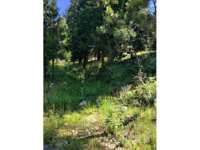 Imagine waking up to crisp mountain air, surrounded by majestic on McCall Municipal Golf Course in Idaho - for sale on GolfHomes.com, golf home, golf lot