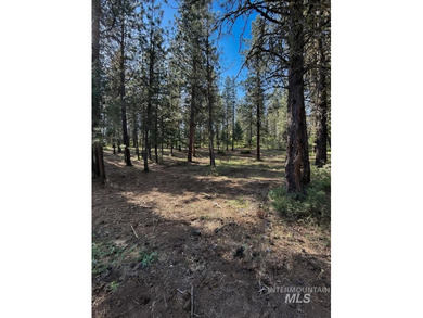 Imagine waking up to crisp mountain air, surrounded by majestic on McCall Municipal Golf Course in Idaho - for sale on GolfHomes.com, golf home, golf lot