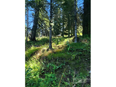 Discover the perfect opportunity to build your dream mountain on McCall Municipal Golf Course in Idaho - for sale on GolfHomes.com, golf home, golf lot