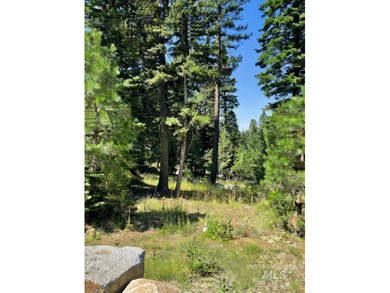 Discover the perfect opportunity to build your dream mountain on McCall Municipal Golf Course in Idaho - for sale on GolfHomes.com, golf home, golf lot