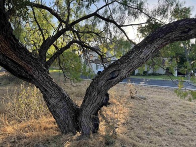 If you want to be close to the Club at Horseshoe Bay and be able on Slick Rock Golf Course - Horseshoe Bay in Texas - for sale on GolfHomes.com, golf home, golf lot