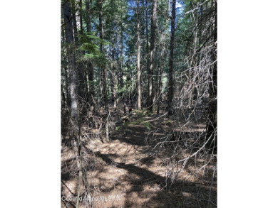 Nearly 2/3 acre lot on 3rd fairway of beautiful Priest Lake Golf on Priest Lake Golf and Tennis Club in Idaho - for sale on GolfHomes.com, golf home, golf lot