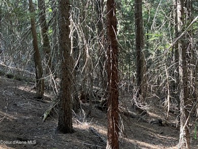 Nearly 2/3 acre lot on 3rd fairway of beautiful Priest Lake Golf on Priest Lake Golf and Tennis Club in Idaho - for sale on GolfHomes.com, golf home, golf lot