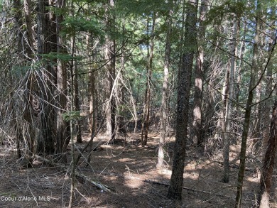 Nearly 2/3 acre lot on 3rd fairway of beautiful Priest Lake Golf on Priest Lake Golf and Tennis Club in Idaho - for sale on GolfHomes.com, golf home, golf lot