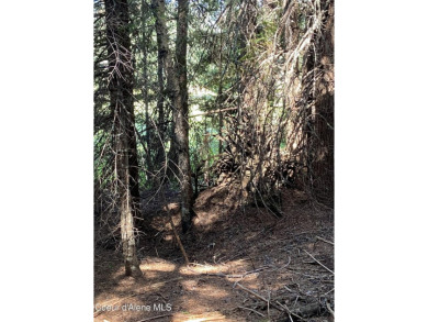 Nearly 2/3 acre lot on 3rd fairway of beautiful Priest Lake Golf on Priest Lake Golf and Tennis Club in Idaho - for sale on GolfHomes.com, golf home, golf lot