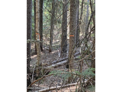 Nearly 2/3 acre lot on 3rd fairway of beautiful Priest Lake Golf on Priest Lake Golf and Tennis Club in Idaho - for sale on GolfHomes.com, golf home, golf lot