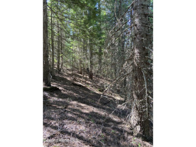 Nearly 2/3 acre lot on 3rd fairway of beautiful Priest Lake Golf on Priest Lake Golf and Tennis Club in Idaho - for sale on GolfHomes.com, golf home, golf lot