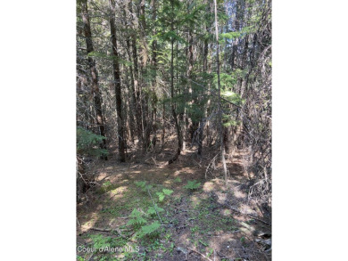 Nearly 2/3 acre lot on 3rd fairway of beautiful Priest Lake Golf on Priest Lake Golf and Tennis Club in Idaho - for sale on GolfHomes.com, golf home, golf lot