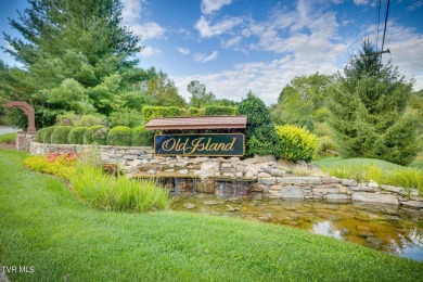 East Tennessee has become One of the Most Desirable Places in on Crocketts Ridge Golf Club in Tennessee - for sale on GolfHomes.com, golf home, golf lot