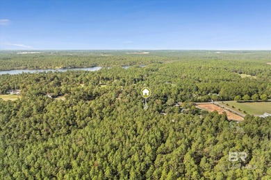 Beautiful Corner Lot in Chapel Grove at Steelwood.  Build your on Steelwood Country Club in Alabama - for sale on GolfHomes.com, golf home, golf lot