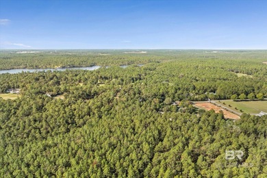 Beautiful Corner Lot in Chapel Grove at Steelwood.  Build your on Steelwood Country Club in Alabama - for sale on GolfHomes.com, golf home, golf lot