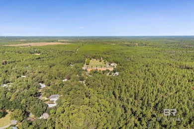 Beautiful Corner Lot in Chapel Grove at Steelwood.  Build your on Steelwood Country Club in Alabama - for sale on GolfHomes.com, golf home, golf lot