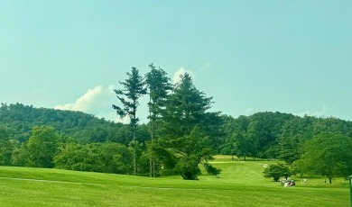 Nearly new, move-in ready, low maintenance and barely lived in 3 on Hidden Valley Golf and Country Club in Tennessee - for sale on GolfHomes.com, golf home, golf lot