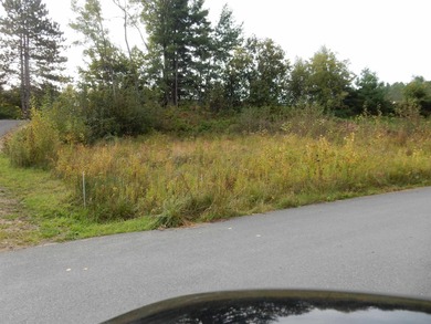 Can't think of a nicer place to build a home. This lot is on Newport Country Club in Vermont - for sale on GolfHomes.com, golf home, golf lot