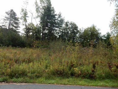 Can't think of a nicer place to build a home. This lot is on Newport Country Club in Vermont - for sale on GolfHomes.com, golf home, golf lot