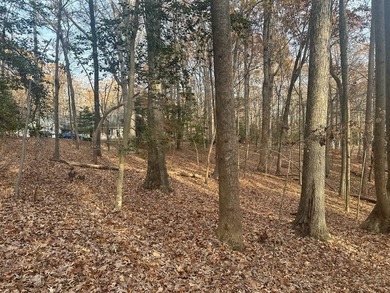 Welcome to Merifield Acres!! A lakefront community with a park on Kinderton Country Club in Virginia - for sale on GolfHomes.com, golf home, golf lot