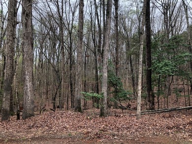 Welcome to Merifield Acres!! A lakefront community with a park on Kinderton Country Club in Virginia - for sale on GolfHomes.com, golf home, golf lot