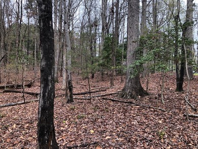 Welcome to Merifield Acres!! A lakefront community with a park on Kinderton Country Club in Virginia - for sale on GolfHomes.com, golf home, golf lot