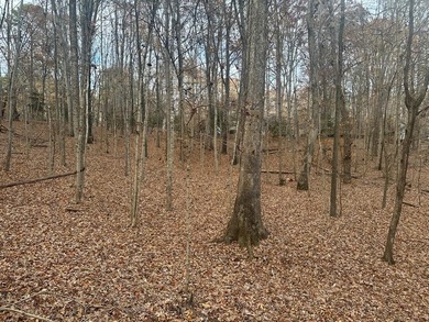 Welcome to Merifield Acres!! A lakefront community with a park on Kinderton Country Club in Virginia - for sale on GolfHomes.com, golf home, golf lot