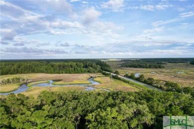 Gorgeous .848-acre lot w/ 62 ft of pristine marsh front offers on Sapelo Hammock Golf Club in Georgia - for sale on GolfHomes.com, golf home, golf lot