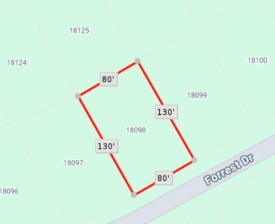 Whether you're looking for a primary or secondary home, this on White Bluff Resort - Old Course in Texas - for sale on GolfHomes.com, golf home, golf lot