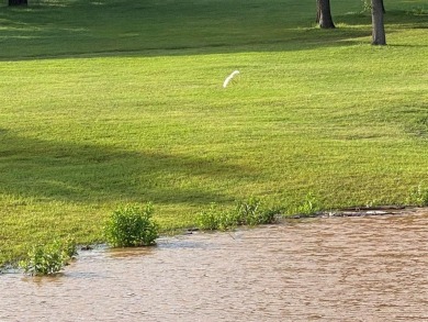 Live the life you love. Large lots are hard to come by at this on Rock Creek Golf Club in Texas - for sale on GolfHomes.com, golf home, golf lot