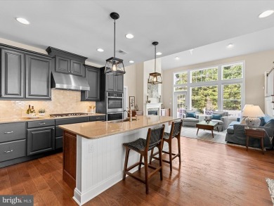 Discover 32981 Shadeland Avenue, an exceptional home in the on The Peninsula Golf and Country Club in Delaware - for sale on GolfHomes.com, golf home, golf lot