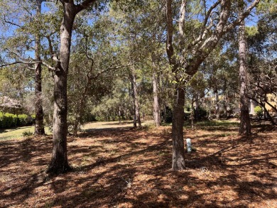 Build your dream home on this exceptional home site located on on Sandestin Golf and Beach Resort - Raven in Florida - for sale on GolfHomes.com, golf home, golf lot