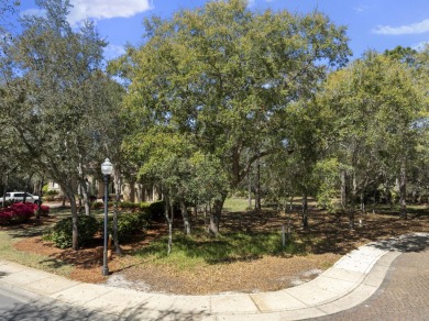 Build your dream home on this exceptional home site located on on Sandestin Golf and Beach Resort - Raven in Florida - for sale on GolfHomes.com, golf home, golf lot