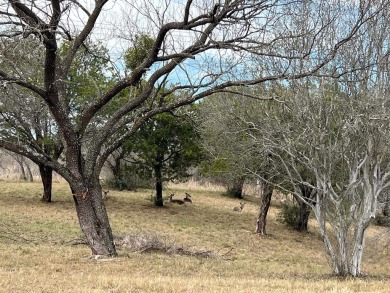 Rare, mostly level R-2 duplex lot in the heart of beautiful on Slick Rock Golf Course - Horseshoe Bay in Texas - for sale on GolfHomes.com, golf home, golf lot