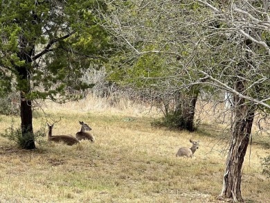 Rare, mostly level R-2 duplex lot in the heart of beautiful on Slick Rock Golf Course - Horseshoe Bay in Texas - for sale on GolfHomes.com, golf home, golf lot