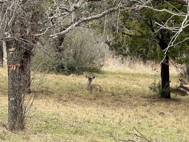 Rare, mostly level R-2 duplex lot in the heart of beautiful on Slick Rock Golf Course - Horseshoe Bay in Texas - for sale on GolfHomes.com, golf home, golf lot