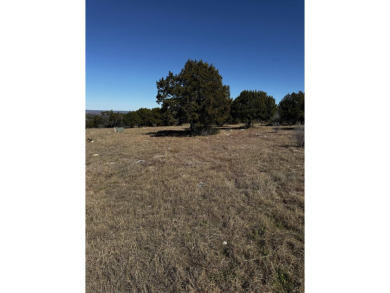 Beautiful level corner lot in Horseshoe Bay Proper with views of on Slick Rock Golf Course - Horseshoe Bay in Texas - for sale on GolfHomes.com, golf home, golf lot