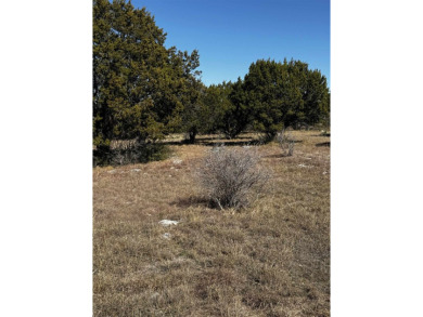 Beautiful level corner lot in Horseshoe Bay Proper with views of on Slick Rock Golf Course - Horseshoe Bay in Texas - for sale on GolfHomes.com, golf home, golf lot
