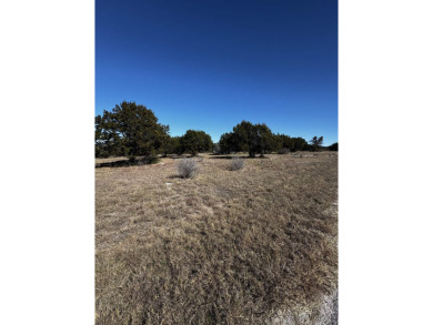 Beautiful level corner lot in Horseshoe Bay Proper with views of on Slick Rock Golf Course - Horseshoe Bay in Texas - for sale on GolfHomes.com, golf home, golf lot