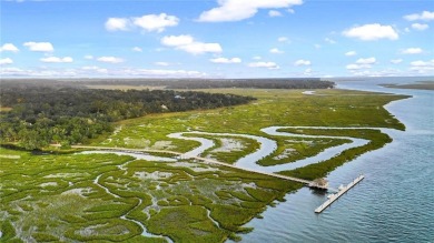 Cooper's Point provides access to a community deep water dock on Sapelo Hammock Golf Club in Georgia - for sale on GolfHomes.com, golf home, golf lot