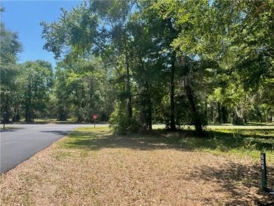 Cooper's Point provides access to a community deep water dock on Sapelo Hammock Golf Club in Georgia - for sale on GolfHomes.com, golf home, golf lot