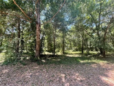 Cooper's Point provides access to a community deep water dock on Sapelo Hammock Golf Club in Georgia - for sale on GolfHomes.com, golf home, golf lot