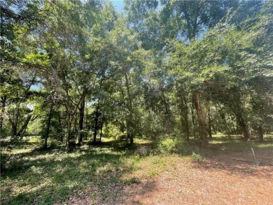 Cooper's Point provides access to a community deep water dock on Sapelo Hammock Golf Club in Georgia - for sale on GolfHomes.com, golf home, golf lot