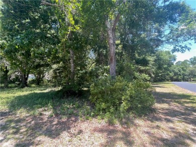 Cooper's Point provides access to a community deep water dock on Sapelo Hammock Golf Club in Georgia - for sale on GolfHomes.com, golf home, golf lot